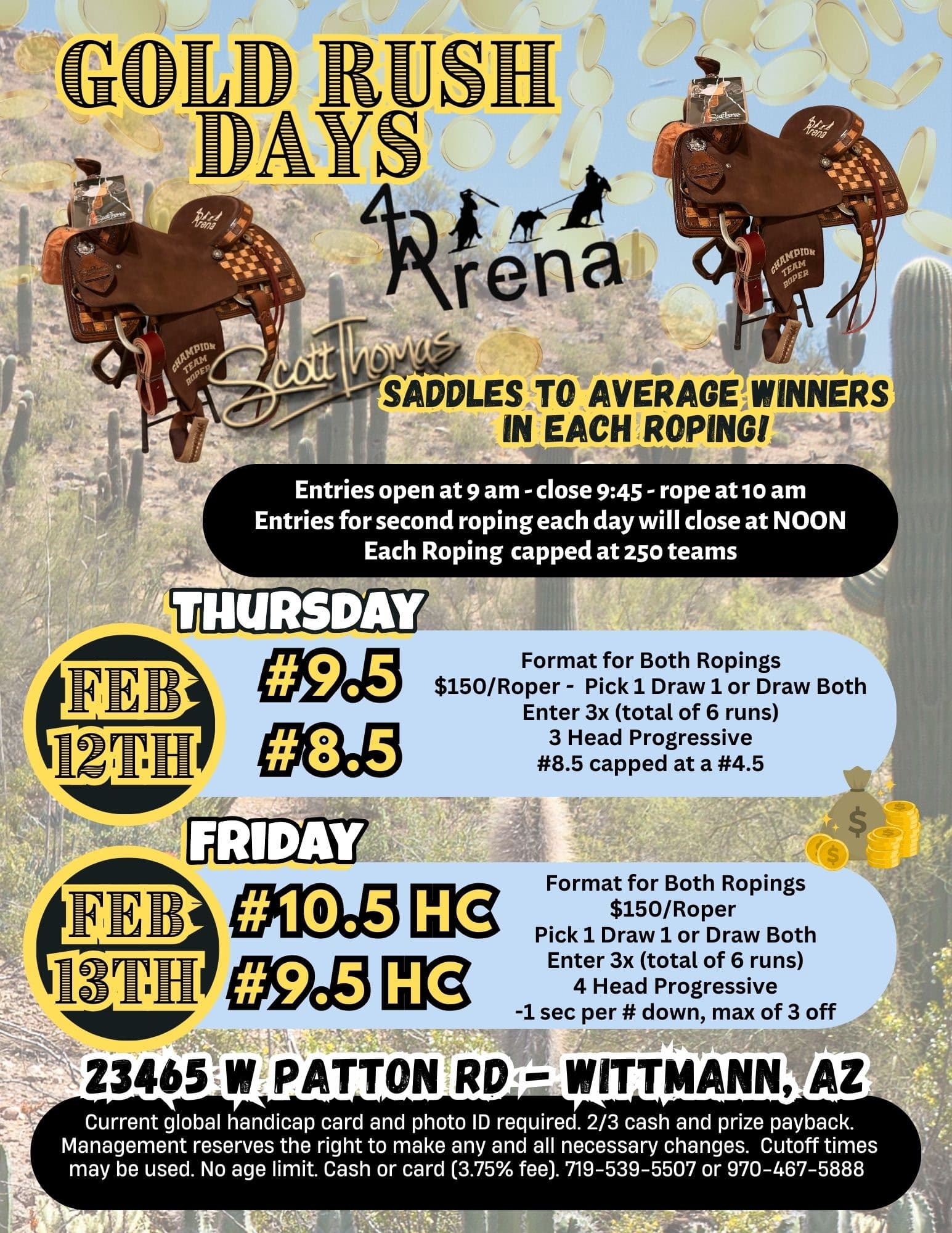 Wittmann, AZ-4D Arena-Gold Rush Saddles flyer