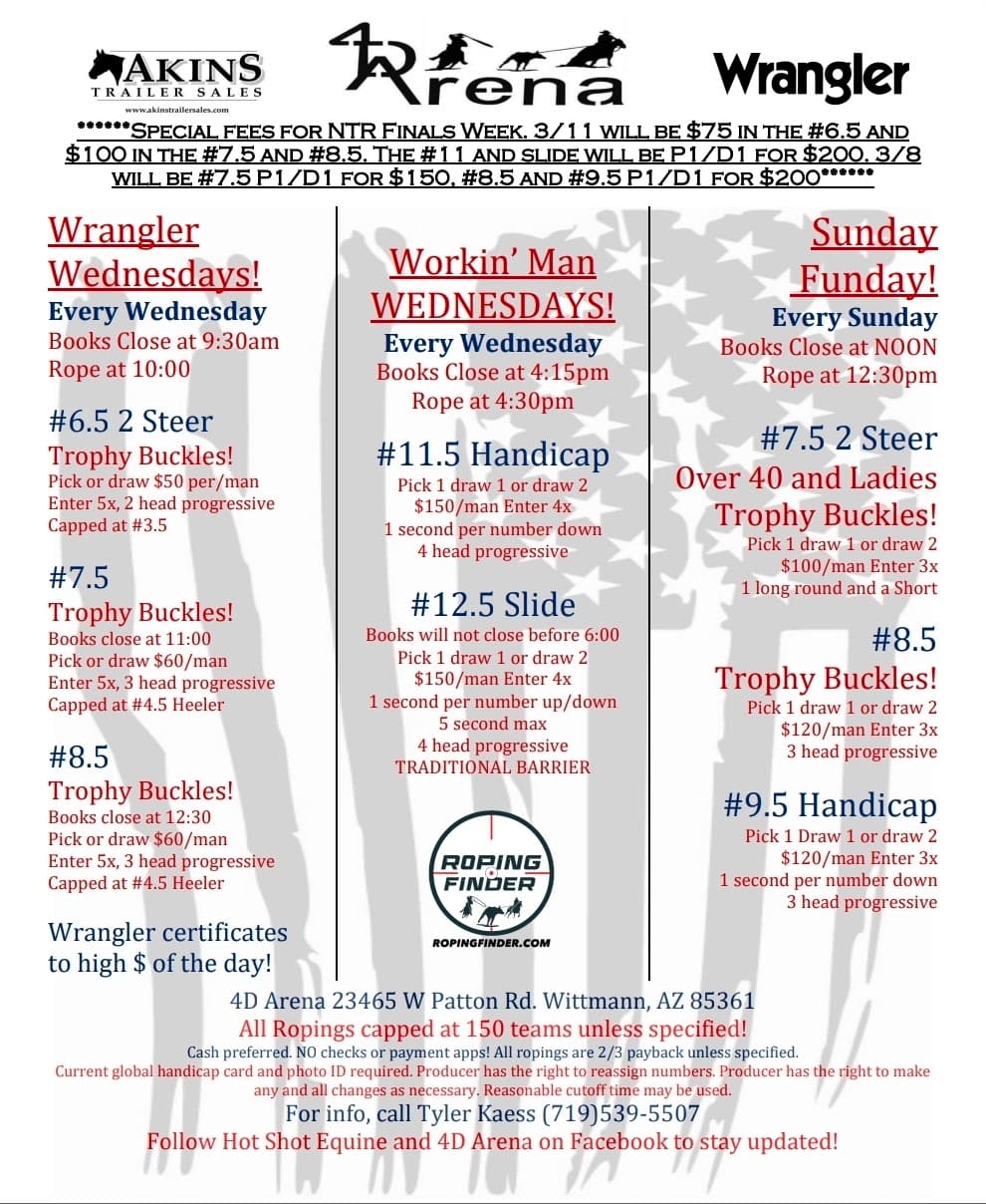 Wittmann, AZ-4D Arena flyer