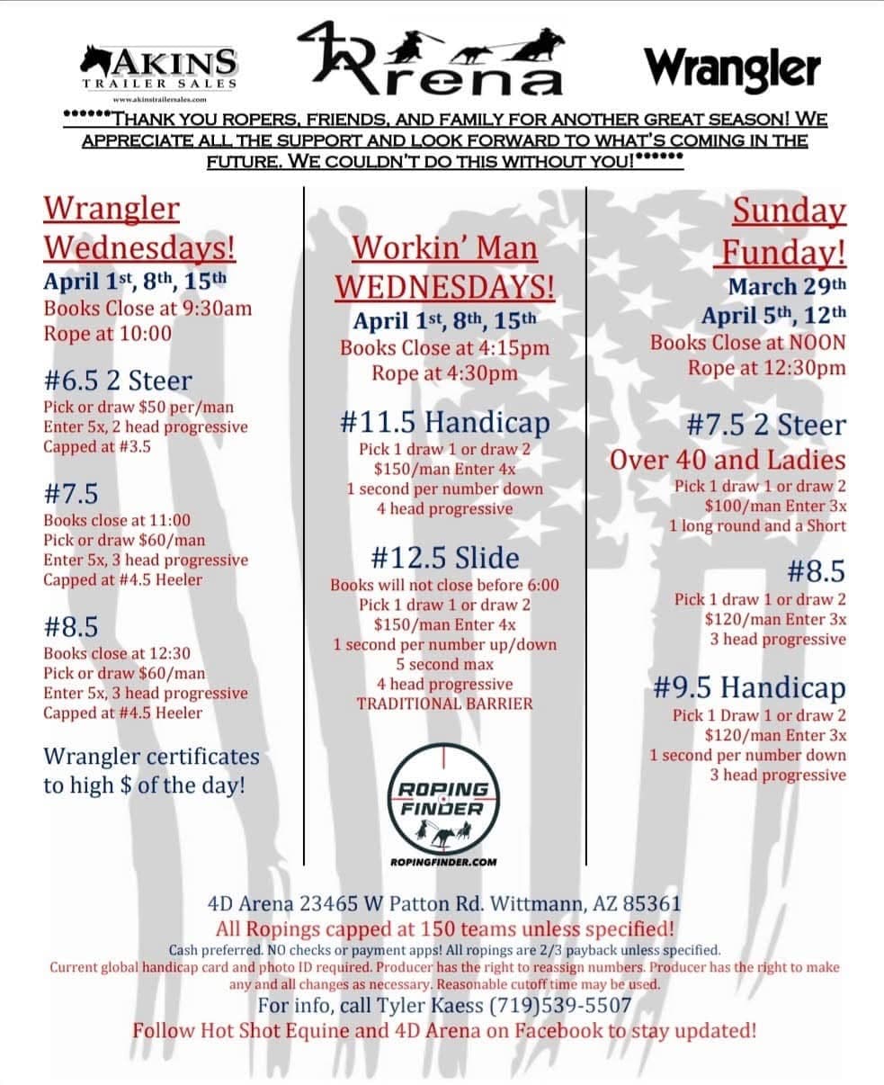 Wittmann, AZ-4D Arena flyer