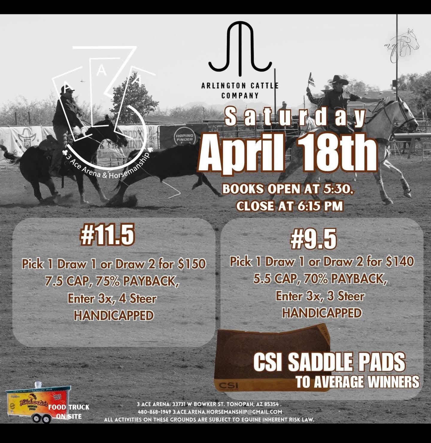 Tonopah, AZ-3 Ace Arena flyer