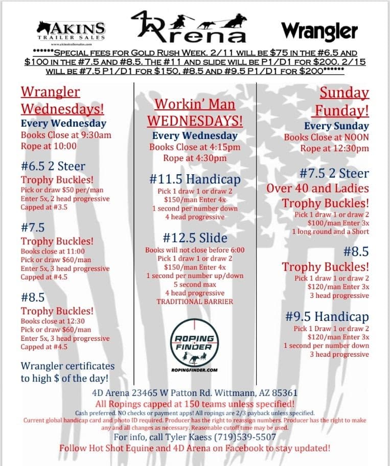 Wittmann, AZ-4D Arena flyer