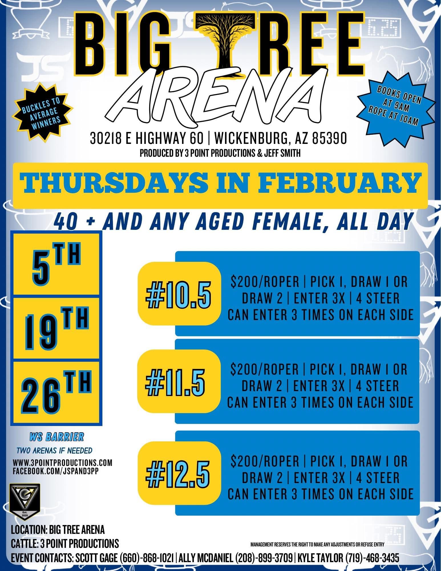 Wickenburg, AZ-Big Tree Arena flyer