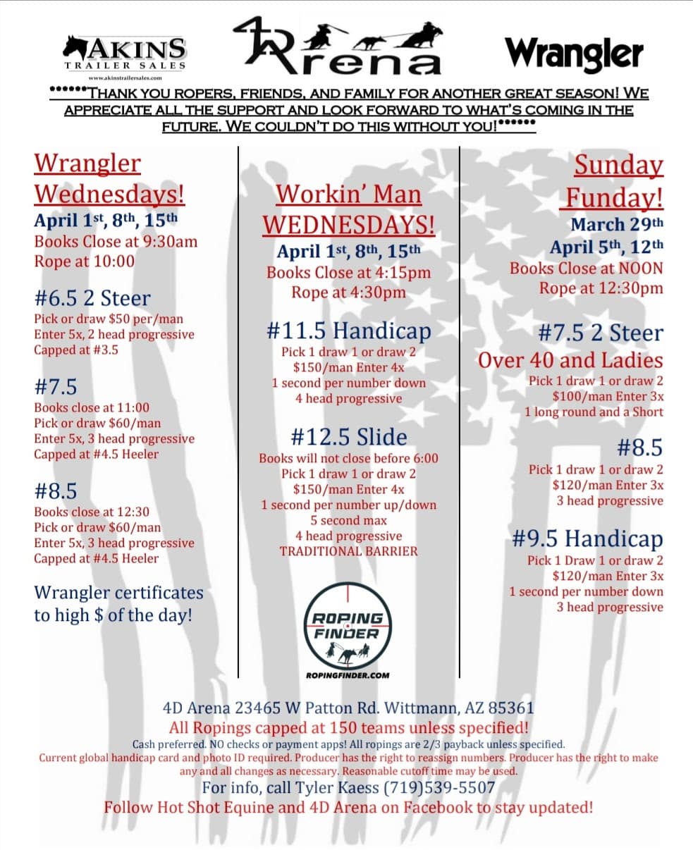 Wittmann, AZ-4D Arena flyer